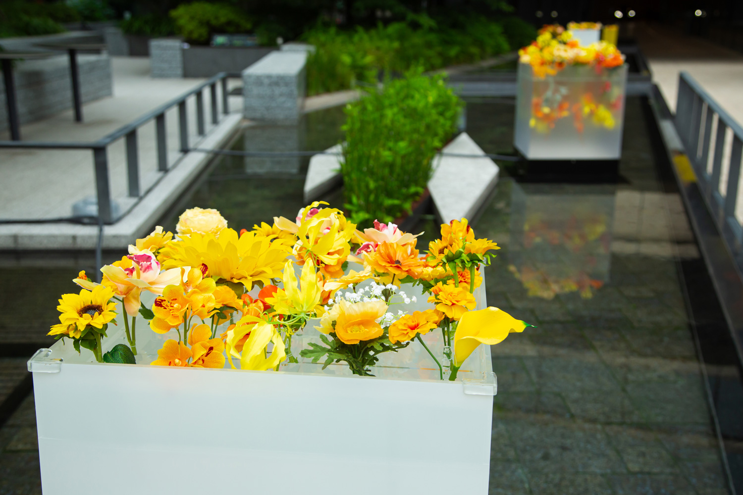 輝きのオアシス ～Reflection Water Garden～
