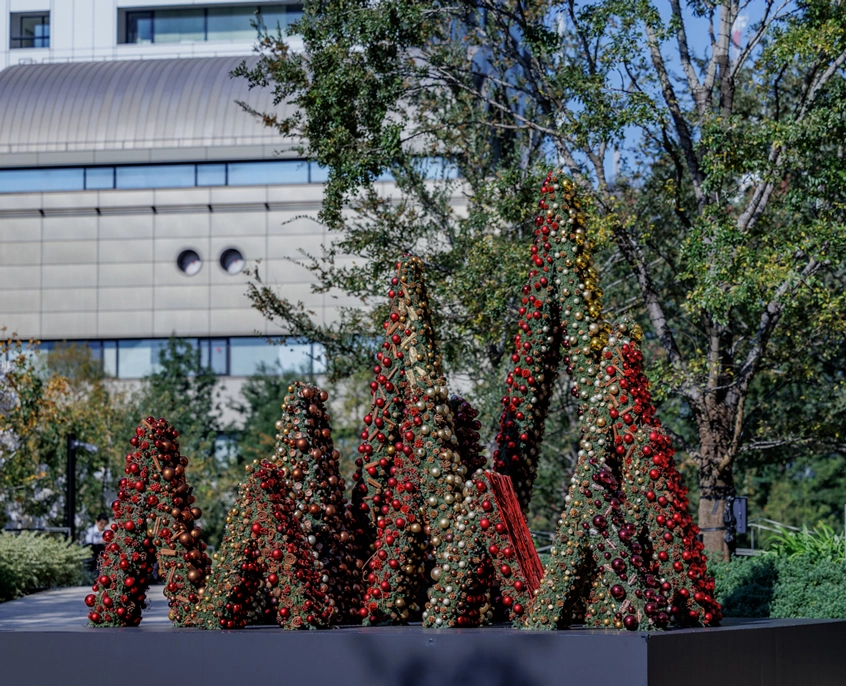 2023年 Winter Bloom