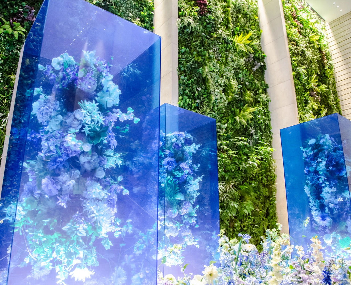 2026年6月-7月 Otemachi One みなも花灯り